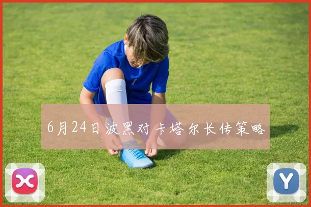 6月24日波黑对卡塔尔长传策略