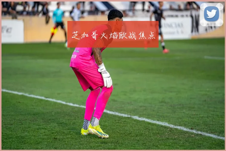 芝加哥火焰欧战焦点