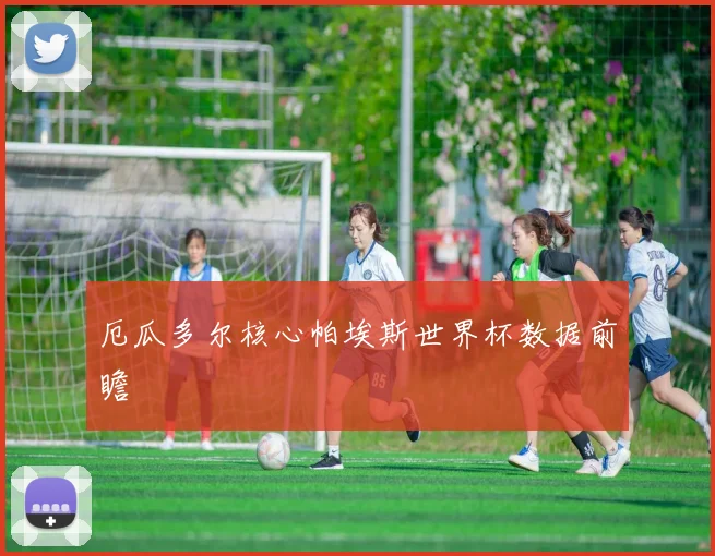 厄瓜多尔核心帕埃斯世界杯数据前瞻