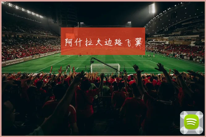 阿什拉夫边路飞翼