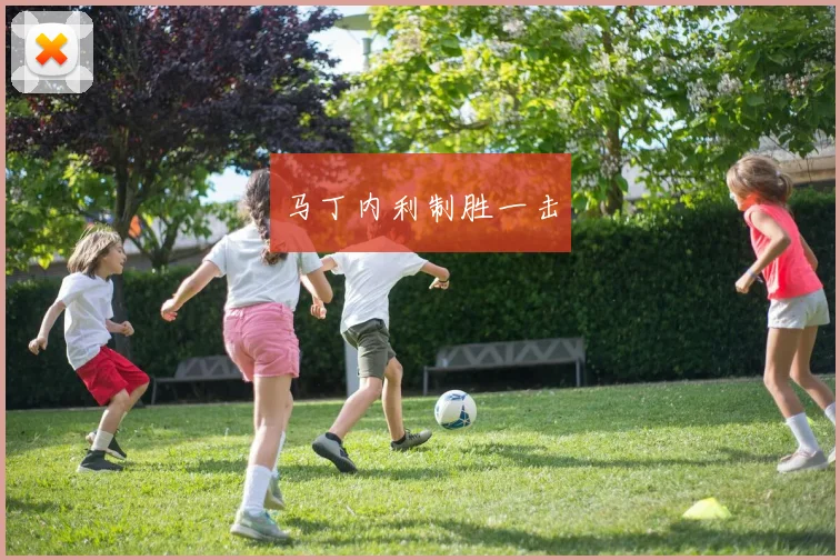 马丁内利制胜一击