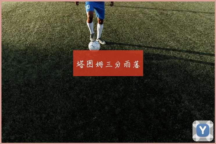 塔图姆三分雨落
