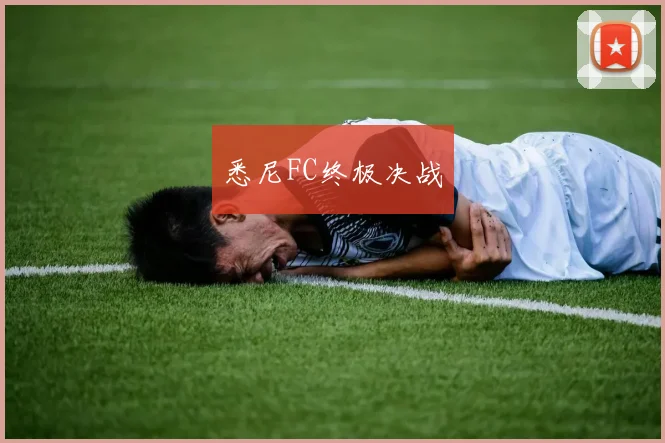 悉尼FC终极决战