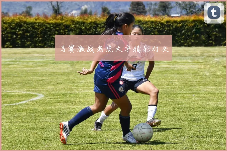 马赛激战老虎大学精彩对决