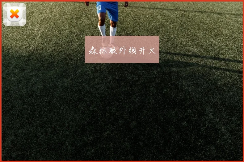 森林狼外线开火