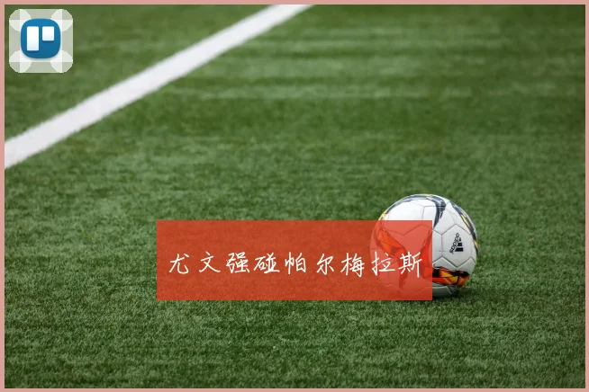 尤文强碰帕尔梅拉斯