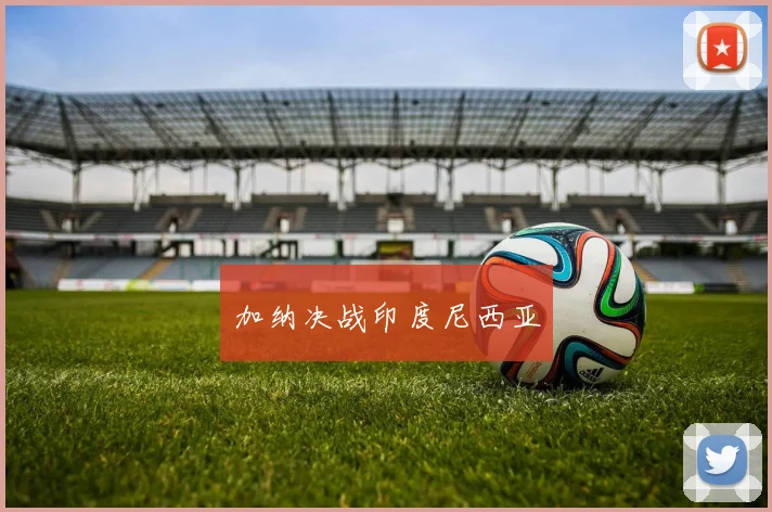加纳决战印度尼西亚