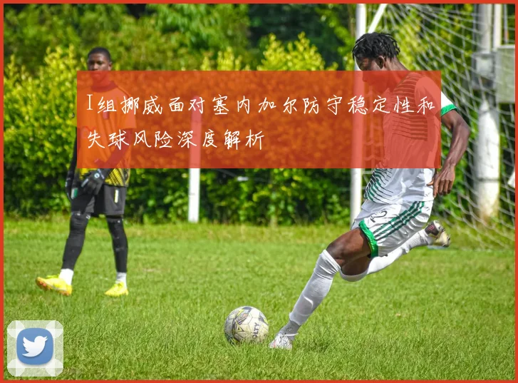 I组挪威面对塞内加尔防守稳定性和失球风险深度解析