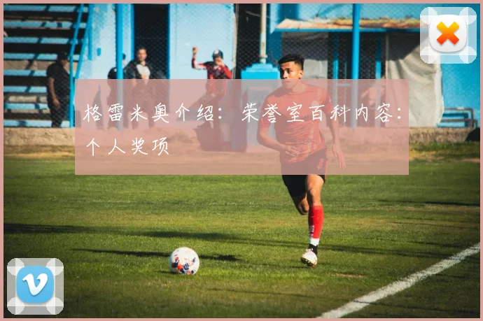 格雷米奥介绍：荣誉室百科内容：个人奖项