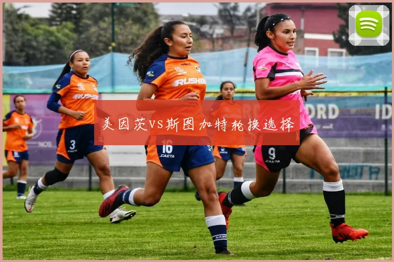 美因茨vs斯图加特轮换选择