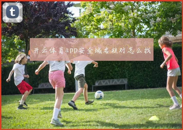 开云体育app安全域名核对怎么找