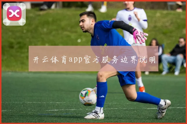 开云体育app官方服务边界说明