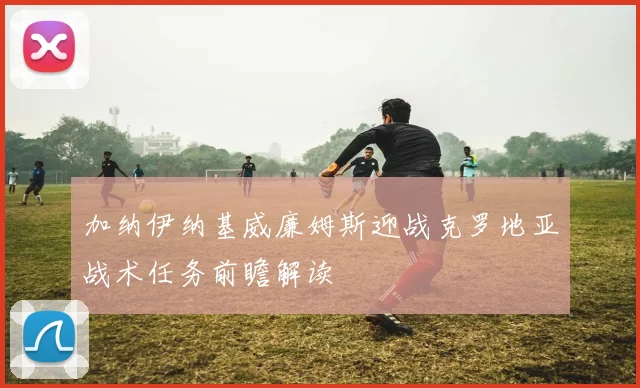 加纳伊纳基威廉姆斯迎战克罗地亚战术任务前瞻解读
