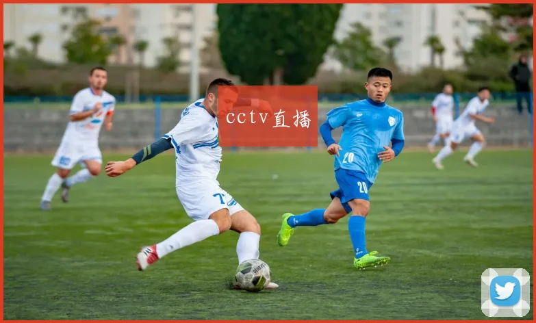 cctv直播