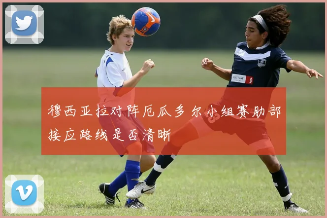 穆西亚拉对阵厄瓜多尔小组赛肋部接应路线是否清晰
